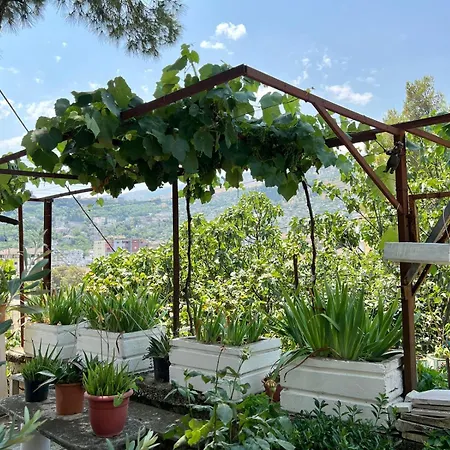 Cityview Garden Retreat * Gjirokastra
