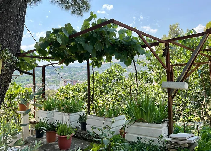 Cityview Garden Retreat * Gjirokastër